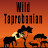 Wild Taprobanian 