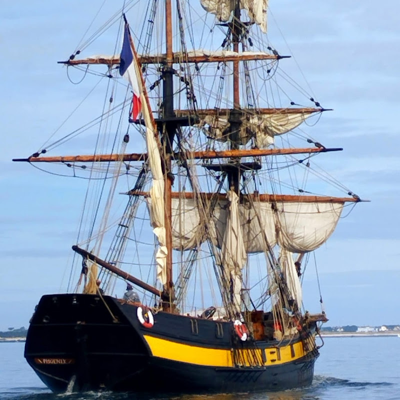 phoenixtallship
