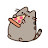 @AKRAM.ARNOLD