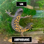 Uk Amphibians & All Things Wildlife logo