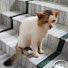 ThX_kqOqs48-channel-avatar-Brajeswar Mandol
