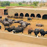 yFESDB_m-QE-channel-avatar-Ramandeep pb31 Dairy Farm 