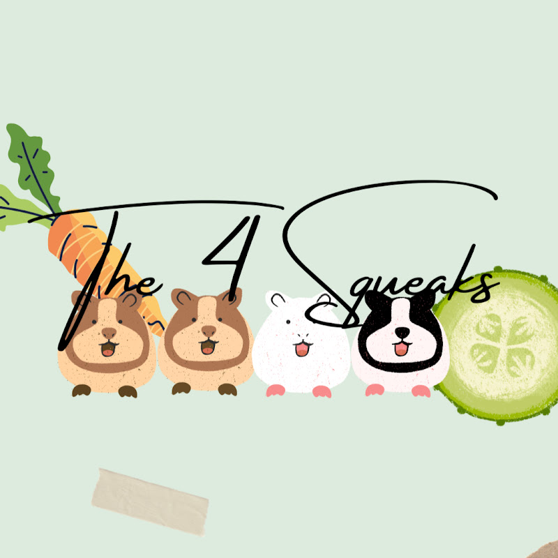 The 4 Squeaks