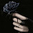 @nohakhalifa5560