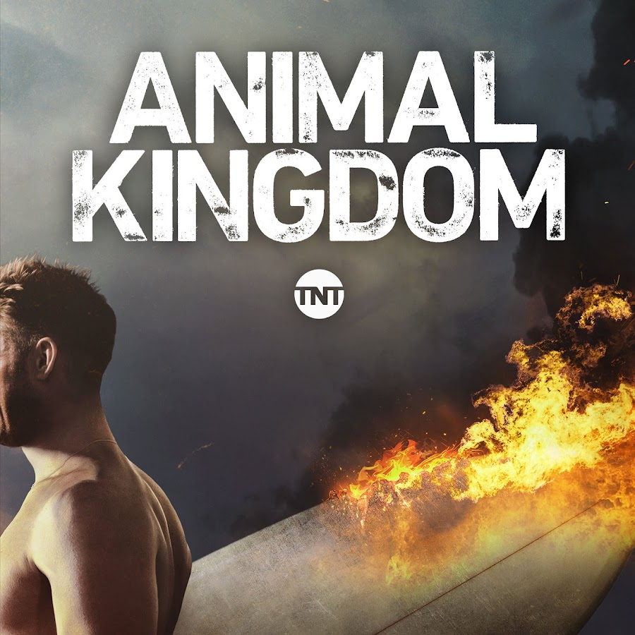 Animal Kingdom 