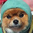 @momo_jelly