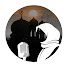 hLpQ_oxYLAY-channel-avatar-Modest Mic 