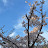 @이수연-x4j