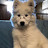 @TenonxWolf
