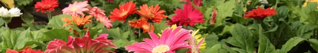 Gardenmagik YouTube channel avatar