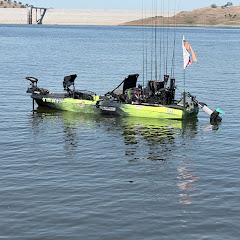 DINKS559