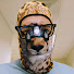 7D83WBShox4-channel-avatar-Alex Fox-Alvarez, Animal Surgeon