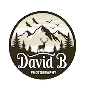 David B