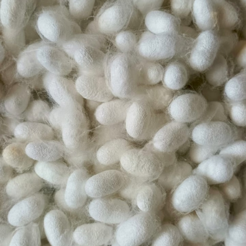 RESHME RAITHA (ರೇಷ್ಮೆ ರೈತ)