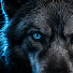 q8VqOxSDaxo-channel-avatar-Wild Coded