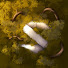 UnSCeKdm4Hs-channel-avatar-Sid
