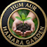 Pf_614YPwmE-channel-avatar-HUM AUR HAMARA GARDEN