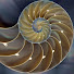 RSBHPqRu3k4-channel-avatar-Tarot Enlightened Discussions