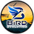 Q9TVoWq5i8w-channel-avatar-Bird Evolution