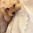 @개춰크레용계절이다