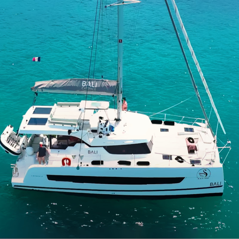 blackswan_catamaran