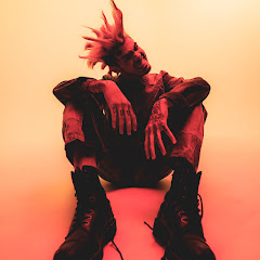 nascar aloe net worth