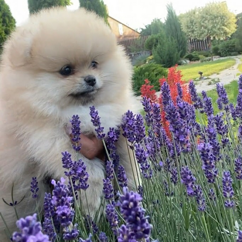 Fun with Aliza & Robert