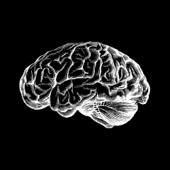 mindgame | football mental coaching