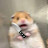 @Hamster_272