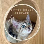 Little House Leopard 