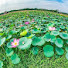gAph_4aB5QQ-channel-avatar-BÀI GIẢNG HAY 