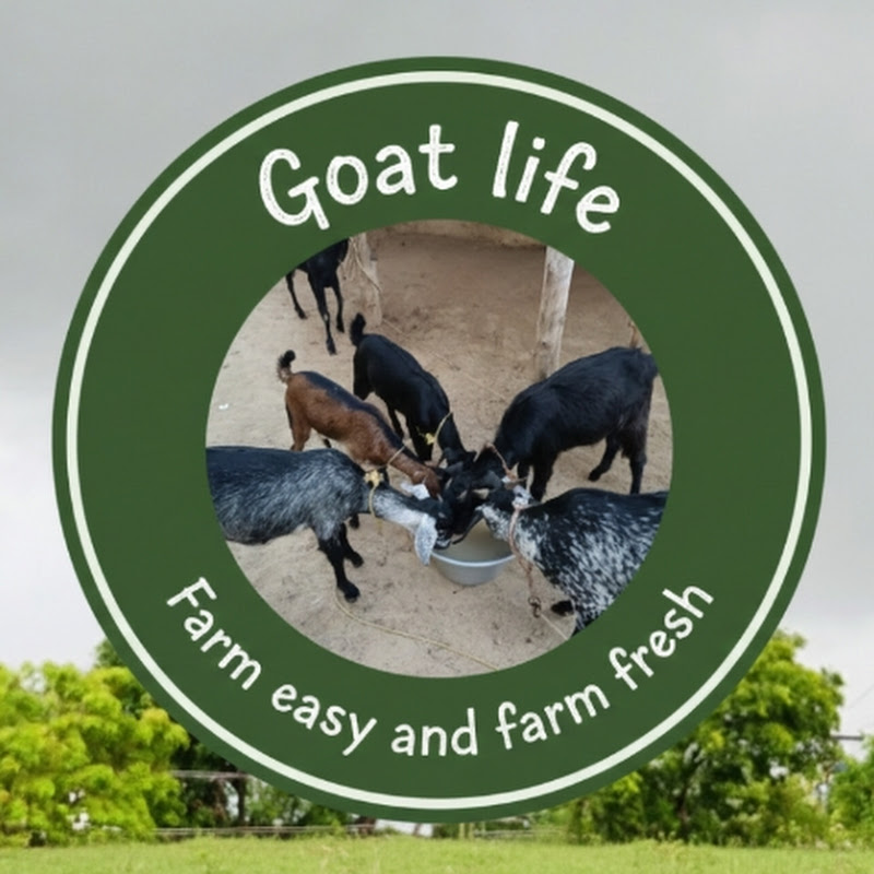 Goat Life