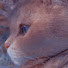 cPyZLnkBP4c-channel-avatar-Soap 🧼 