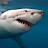 @sharkbite8947