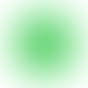 竹