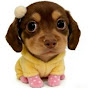 LiteClip