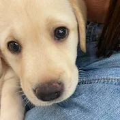 虎丸ステーション