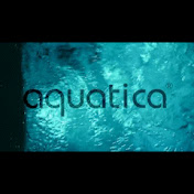 Aquatica Bath & Wellness