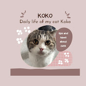 Koko The Cat
