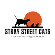 stray street cats