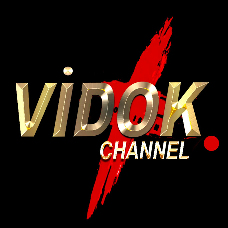 VIDOK    Logo