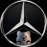 TNZ-MjdRpqg-channel-avatar-벤츠 노빠꾸 [Mercedes-Benz]