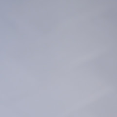 〰️ るくちゃん 〰️