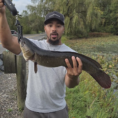 ShoreFishKing