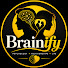 _NlnKAMcdGY-channel-avatar-Brainify
