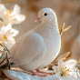  MARY'S DOVE by Marjorie Dawe