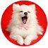 Gg8M80yzyuE-channel-avatar-jr931002