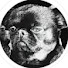 LqFpBpoaRkg-channel-avatar-Clint Pang