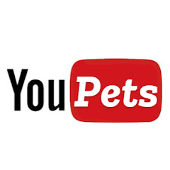 Youpets
