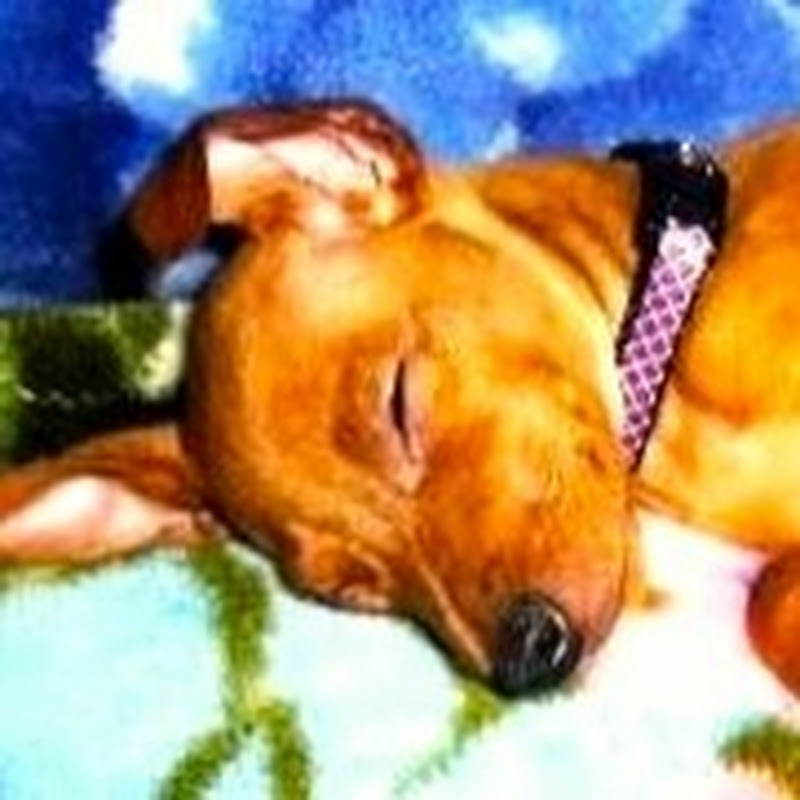 ぎいざあのサムネイル